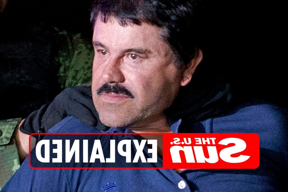 Where is El Chapo now? The Sun World Coin News