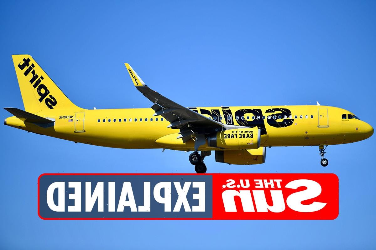 Why Is Spirit Airlines Cancelling Flights World Coin News