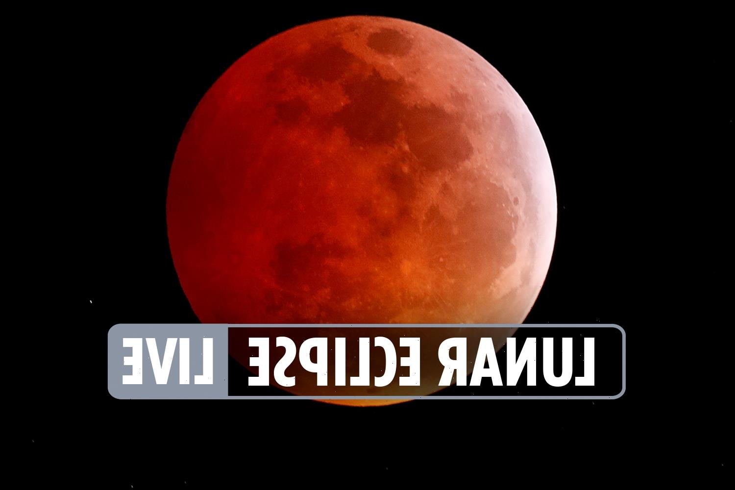 Lunar eclipse November 2021 updates What time is the full moon and